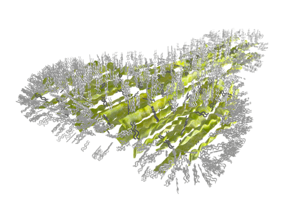 An artist’s illustration showing horizontal, wavy green sheets and gray squiggly lines coming off the green sheets at various angles.