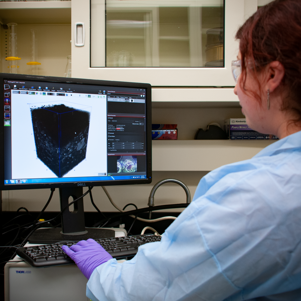 A researcher works at a computer with the screen showing a black scaffold structure on a white background.