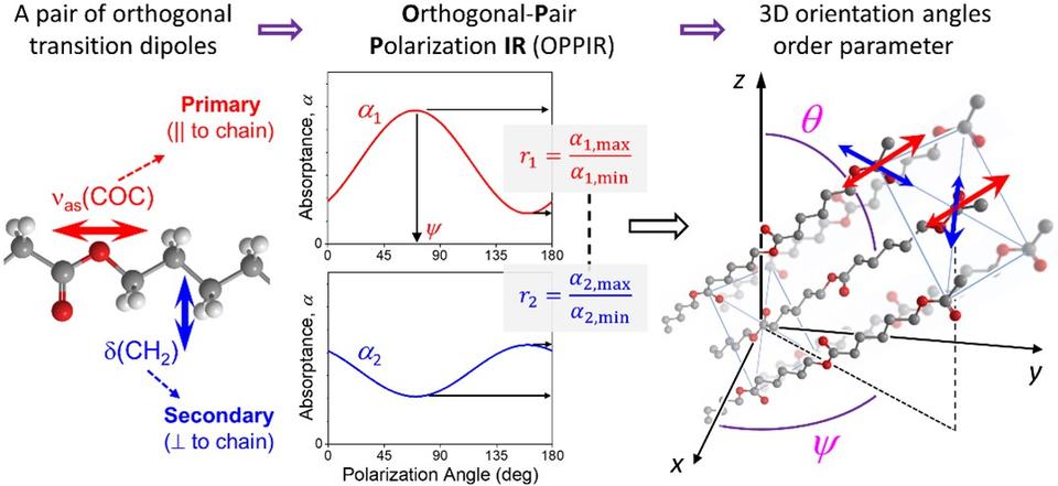 A schematic presentation of the orthogonal-pair polarization IR (OPPIR) method 