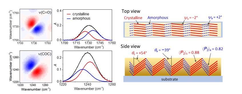 The asynchronous 2DCOS map of the (C=O) peak and the (COC) peak of a polycaprolactone (PCL) film with respect to polarization angle 