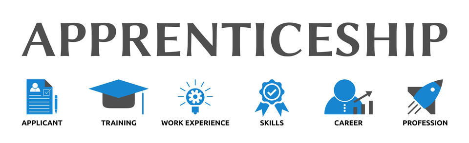 Apprenticeship text with icons for applicant (paper and pen), training (graduation cap), work experience (lightbulb), skills (ribbon), career (person), and progression (rocket ship)