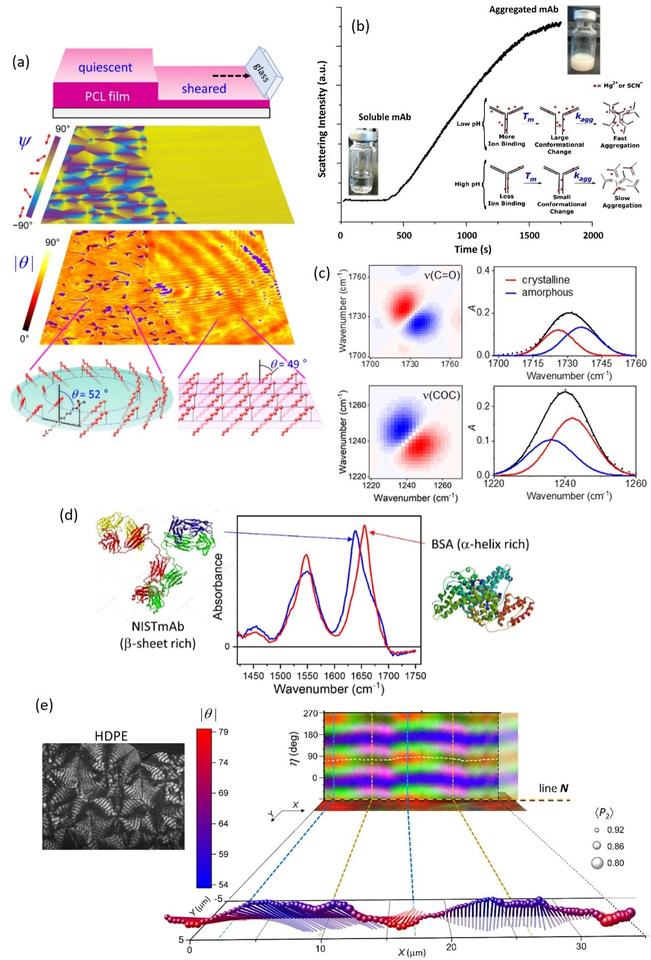 3D orientation angle images of a PCL film