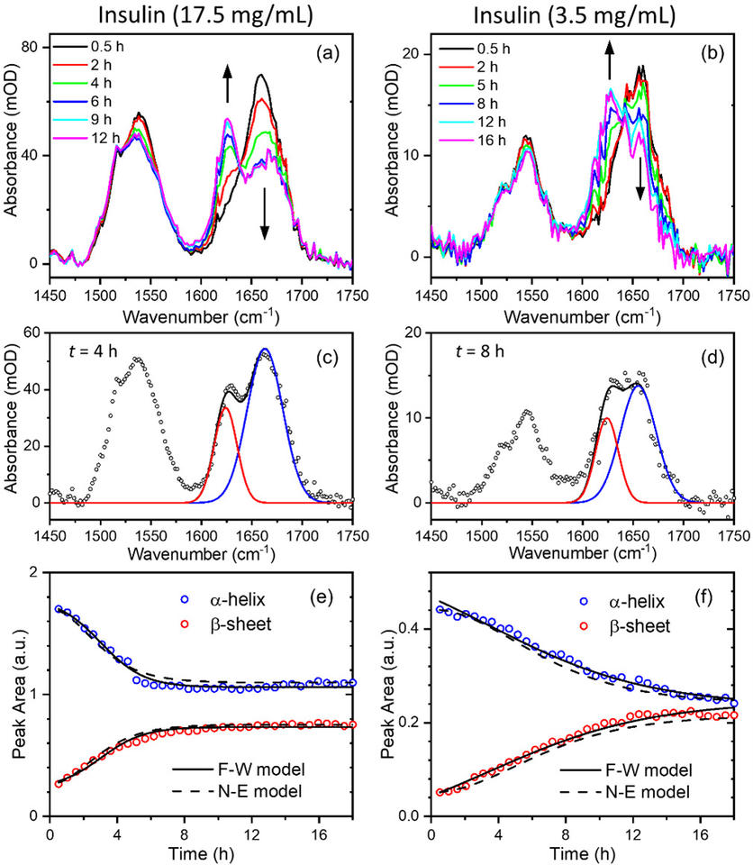 Time-resolved SAC-IR absorption spectra of insulin solutions 