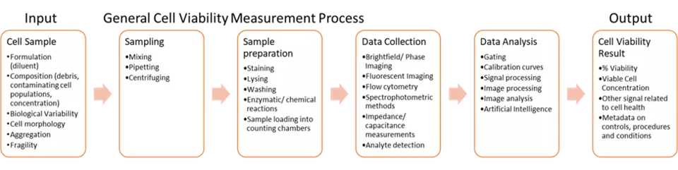 General Cell Viability Measurement Process