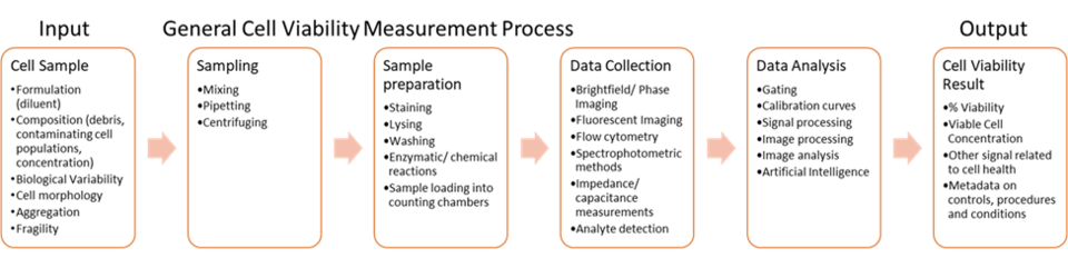 General Cell Viability Measurement Process