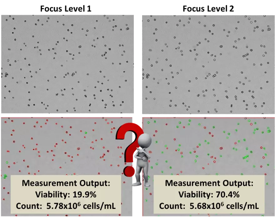 Example of semi-automated trypan blue dye exclusion-based cell viability 
