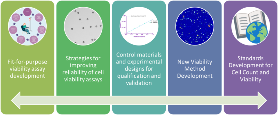 Cell viability for advanced therapies