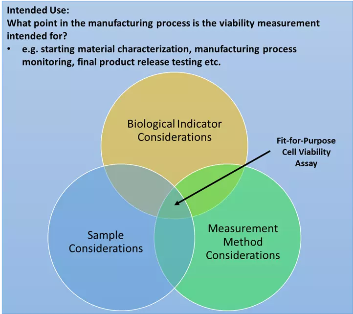 :  Considerations for designing fit-for-purpose cell viability assays based on the intended use of the measurement.