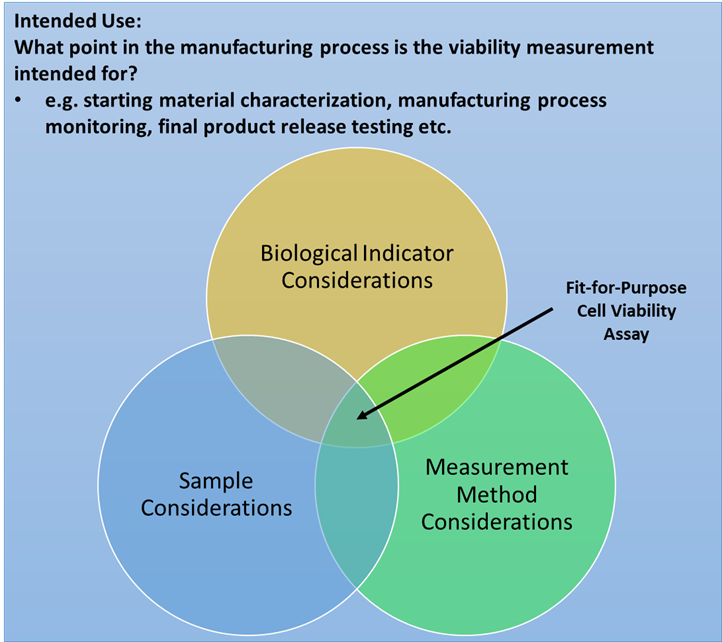:  Considerations for designing fit-for-purpose cell viability assays based on the intended use of the measurement.