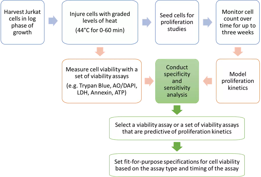 Schematic workflow of the experimental design - Jurkat cells 