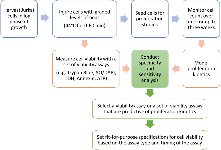 Schematic workflow of the experimental design - Jurkat cells 