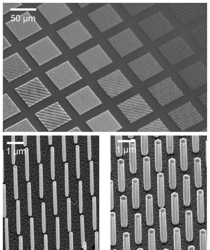 Electron microscopy images