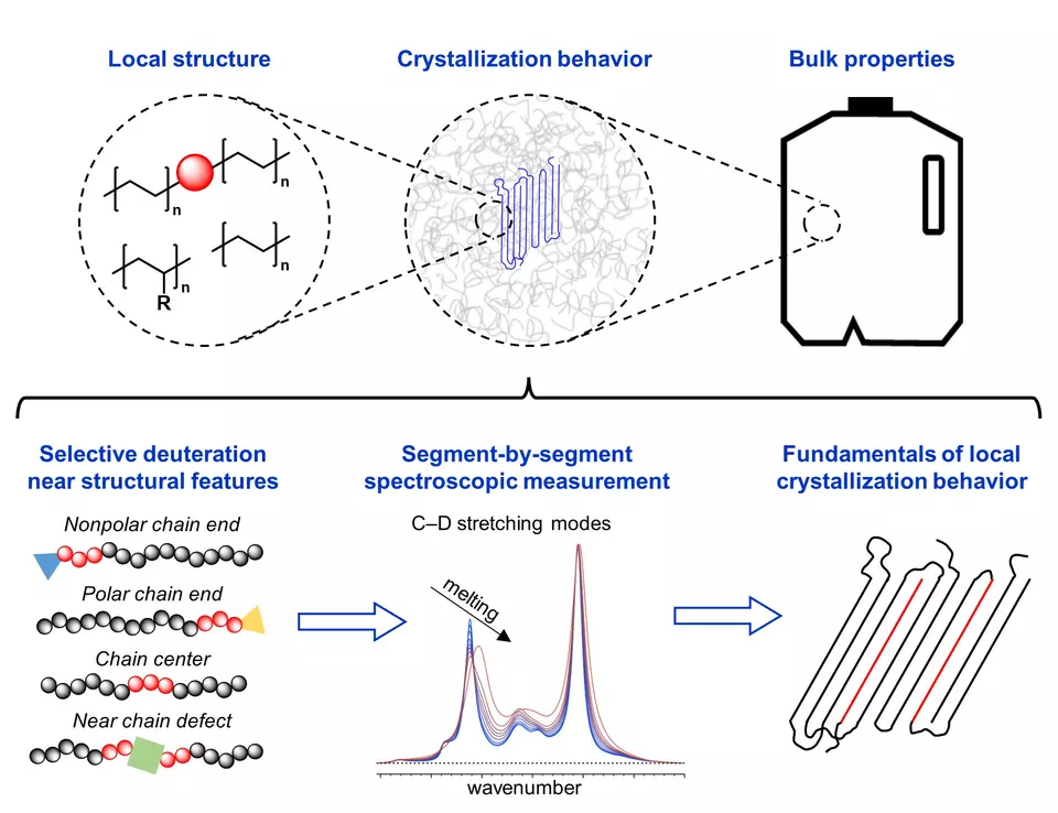 deuterium-labeled polyethylenes to study crystallization near different chain segments and defects by FTIR, which have impacts in resultant material properties