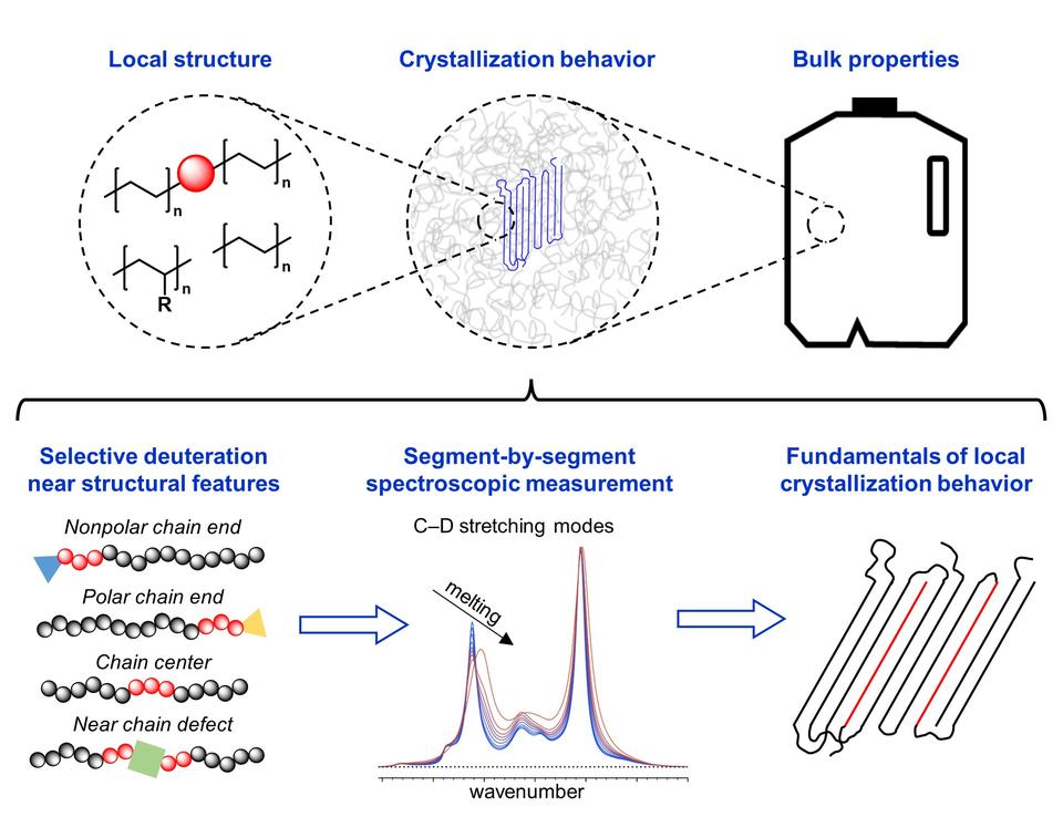 deuterium-labeled polyethylenes to study crystallization near different chain segments and defects by FTIR, which have impacts in resultant material properties