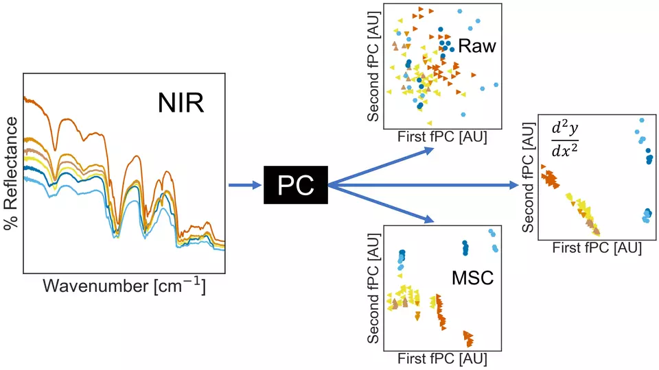 near IR data is analyzed by scattering correction and different principle component analyses to improve the differentiation of polyolefin classes