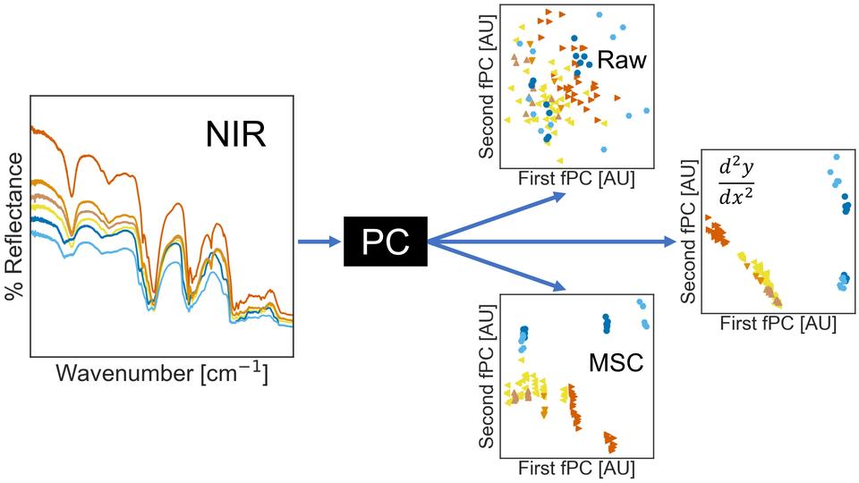 near IR data is analyzed by scattering correction and different principle component analyses to improve the differentiation of polyolefin classes