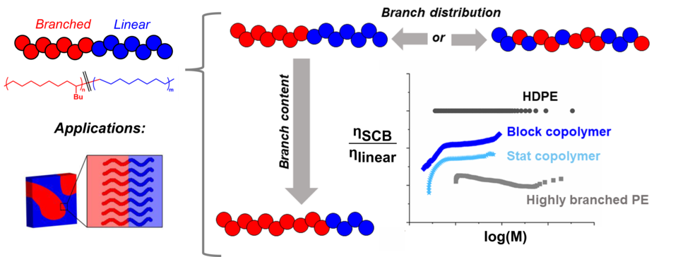 differences in dilute solution properties arise from polyolefin sequence control, as two copolymers, one blocky and one statistical, have different intrinsic viscosity across the molar mass distribution when the branch content of the two is equivalent