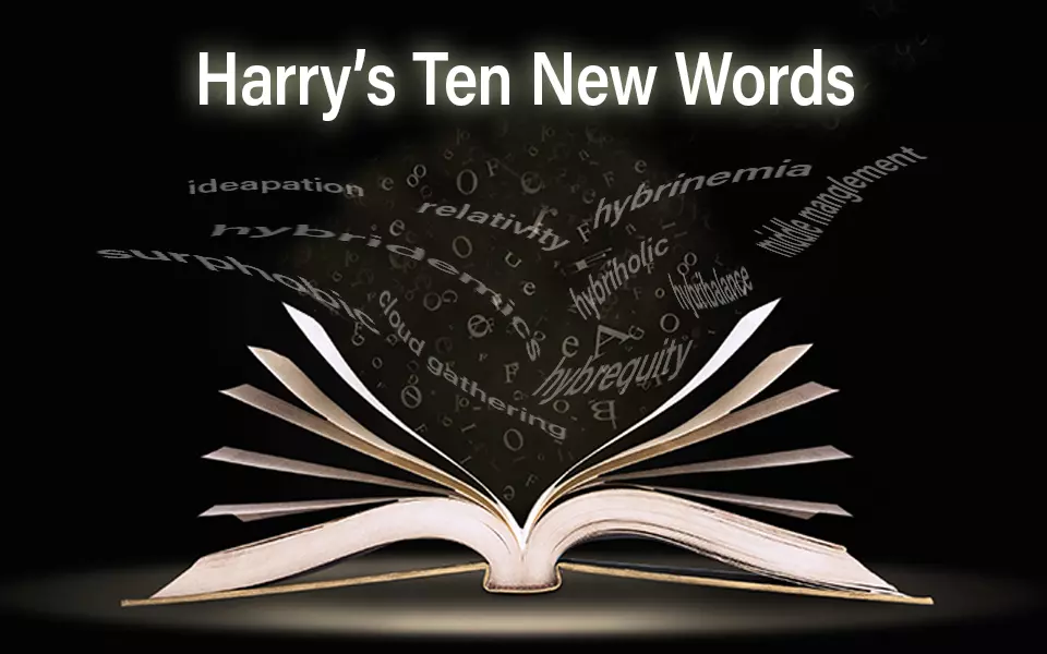 Harry's Ten New Words showing a dictionary with the words flowing into it.