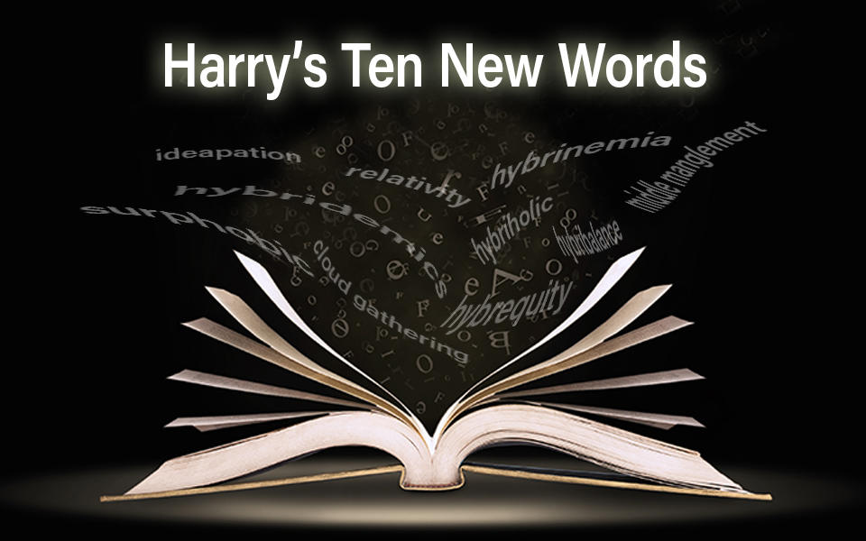Harry's Ten New Words showing a dictionary with the words flowing into it.