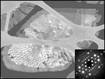 2D MFI zeolite nanosheets STEM-in-SEM image (20 keV)
