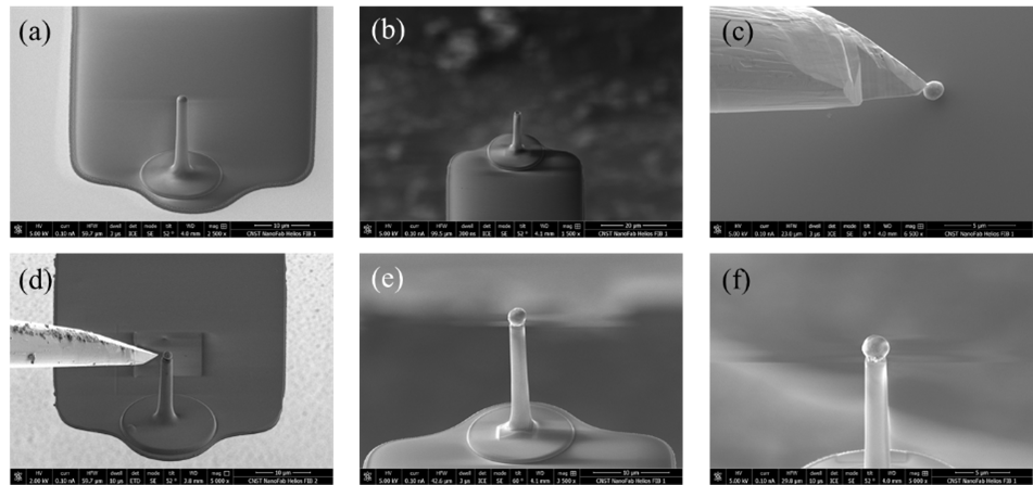 Colloidal probe tip fabrication