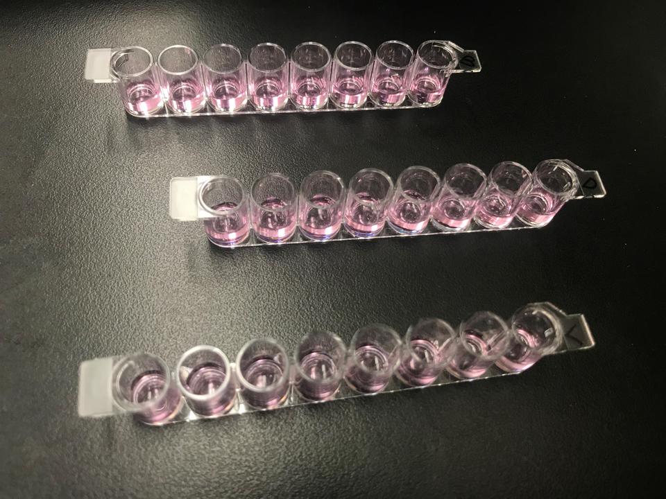 Rows of tiny vials hold similar amounts of what looks like purple liquid. 