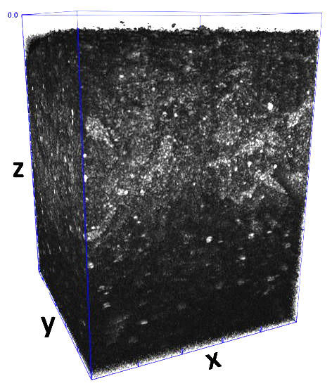 Imaging result is a black cube with small white blobs inside a grid.