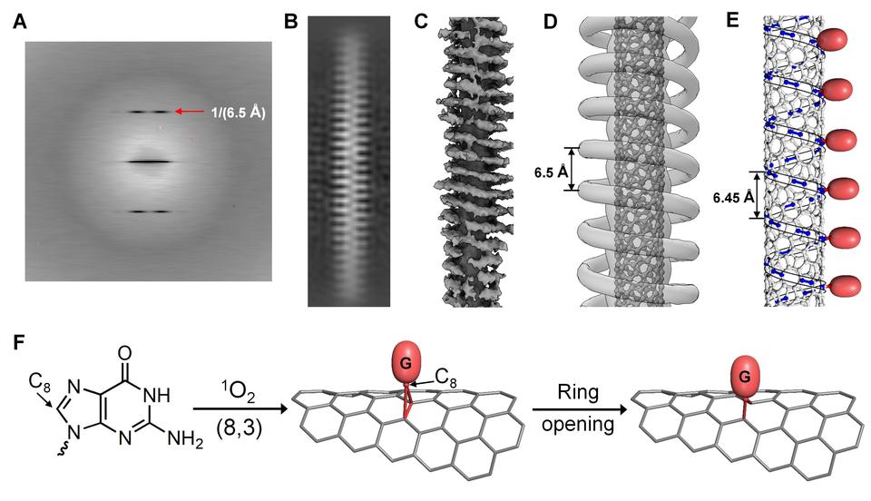 DNA-directed lattice modification of (8,3)