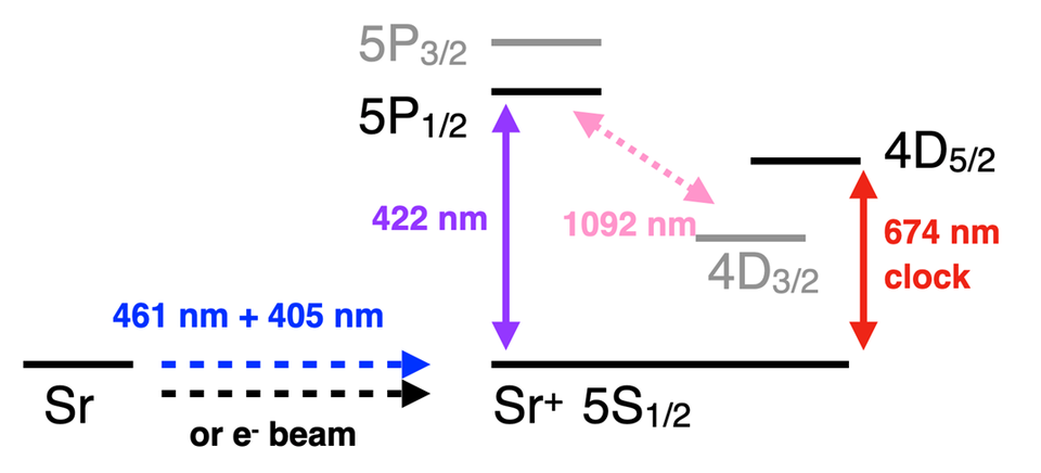 Relevant Sr cation levels