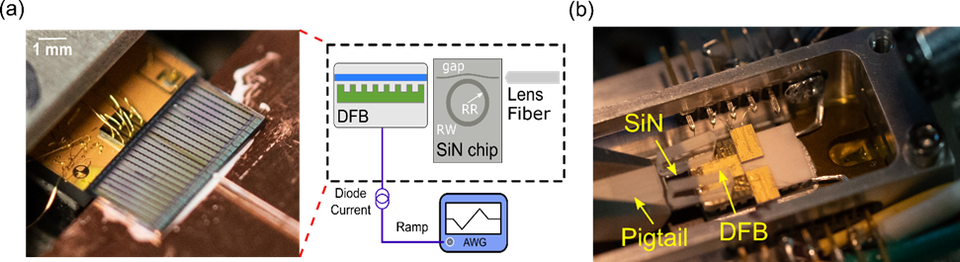 octave-spanning comb