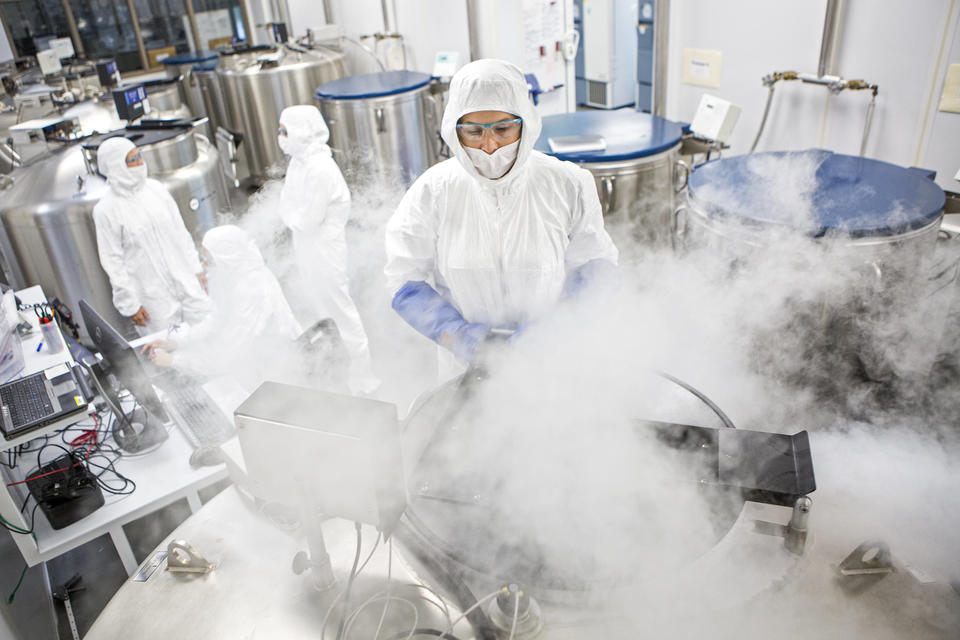 A NIST researcher places samples inside one of the large liquid nitrogen freezers used to preserve biological tissue for scientific study.