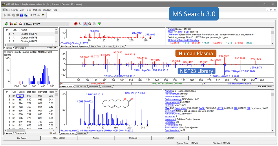 Image of MS Search 3.0 use interface.