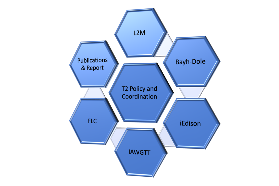 Pentagon illustration of TPO's Policy and Coordination