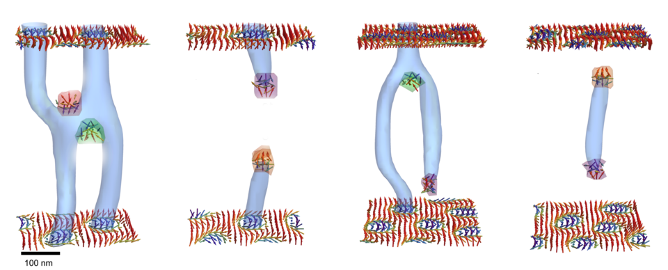 skyrmion tubes