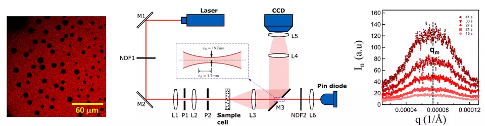 Kinetics of phase separation