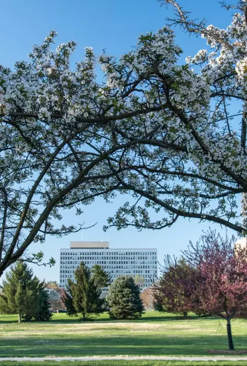 NIST Gaithersburg Campus Picture