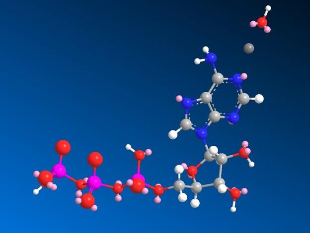 Ball and stick chemical structure of ATP