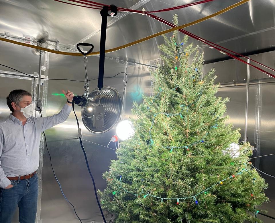 A researcher wearing a face mask gestures to a Christmas tree set up in a metallic box with a large spotlight shining on it. 