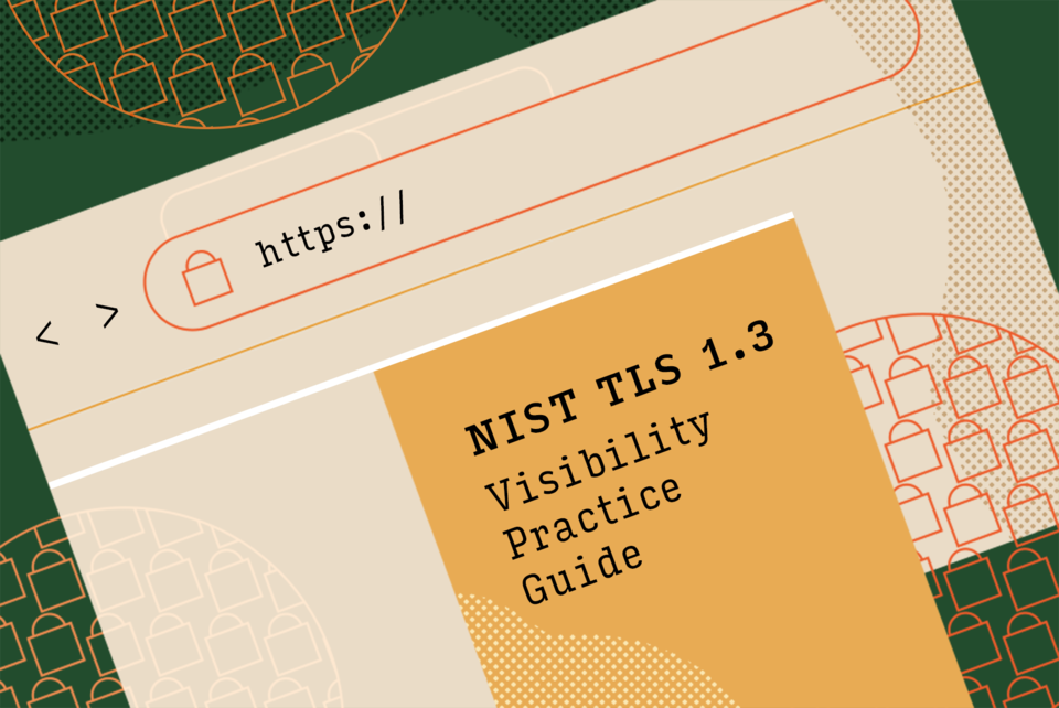 Illustration shows a website with https:// at the top and and the NIST TLS 1.3 Visibility Practice Guide on the screen. 