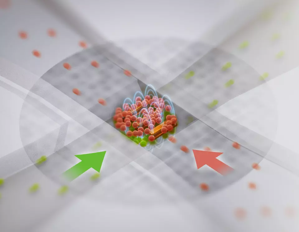 Artist’s rendering of an organ-on-a-chip device