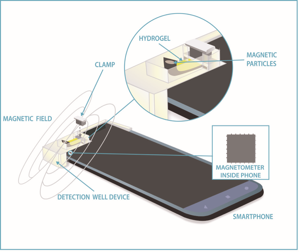 Using cellphone compass to measure Tiny Concentrations of Compounds important for human health