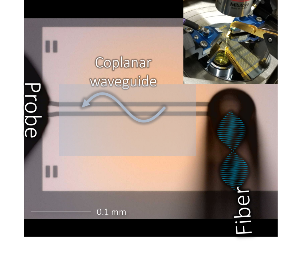 Illustration shows a horizontal probe with label "coplanar waveguide" and a wiggly line; inset shows the tiny chip on a larger device.