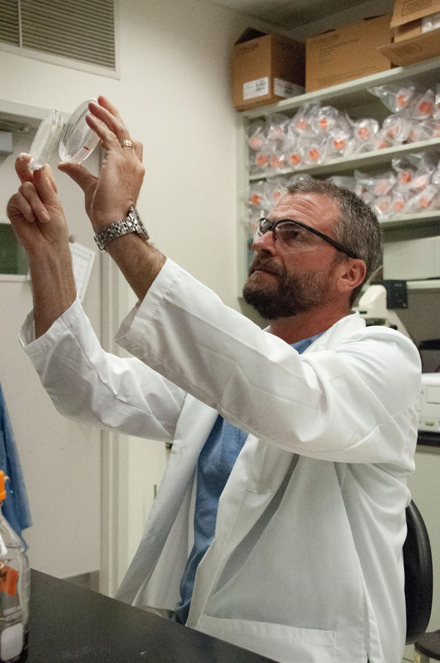 Scott Jackson wears safety glasses and a lab coat as he looks up a two petri dishes he is holding.