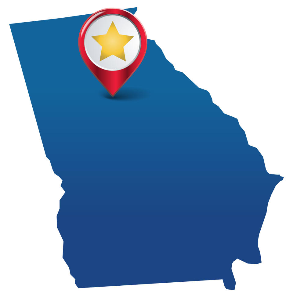 Image of Georgia CHIPS Award