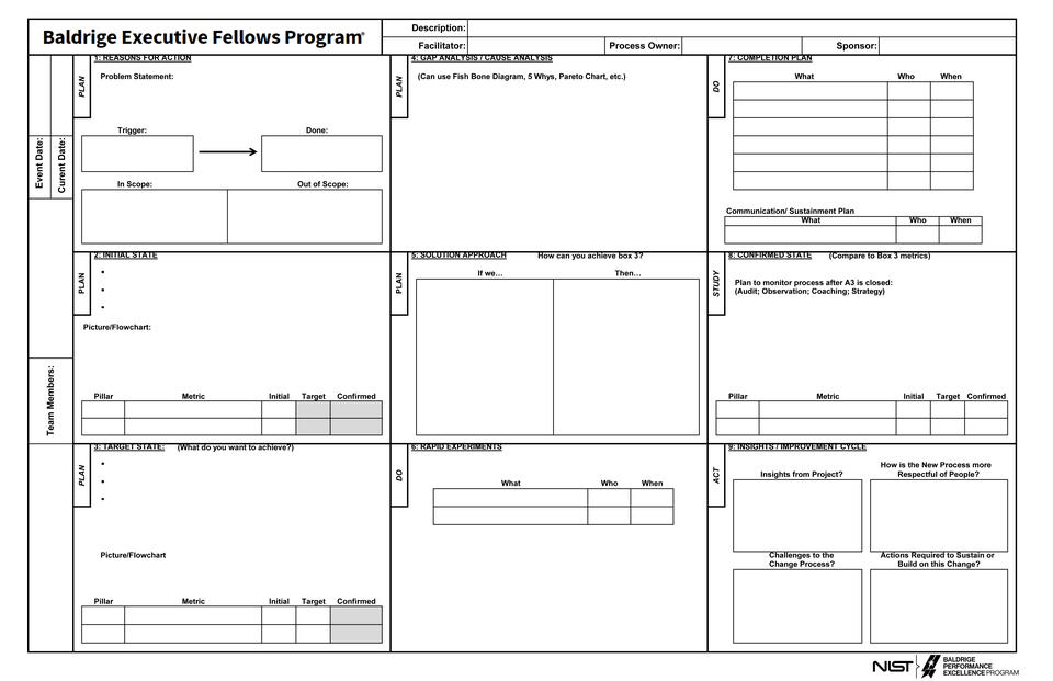 Baldrige Executive Fellows A3 nine box problem-solving tool. Boxes are described in the text.