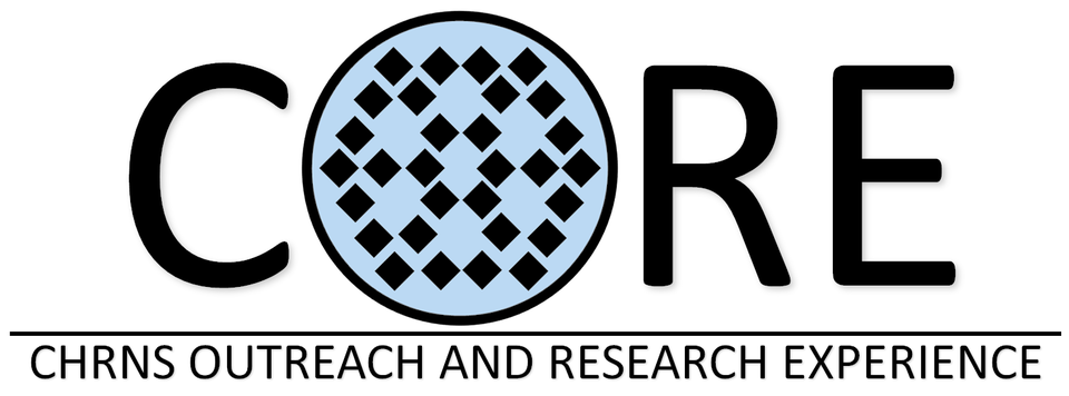 Name of CORE program with reactor core schematic in the O