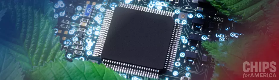 banner image of a semiconductor chip buried under green leaves in nature