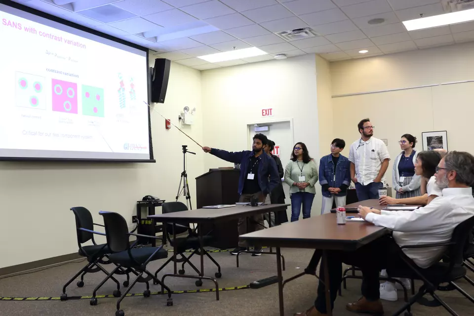 Group D Presentation