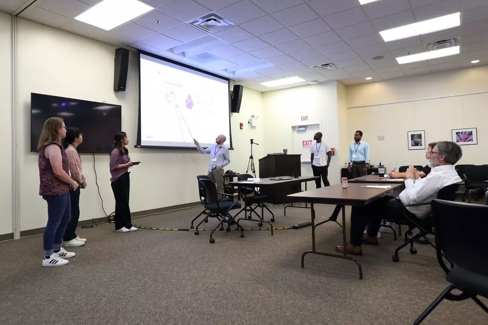 Group B Presentation
