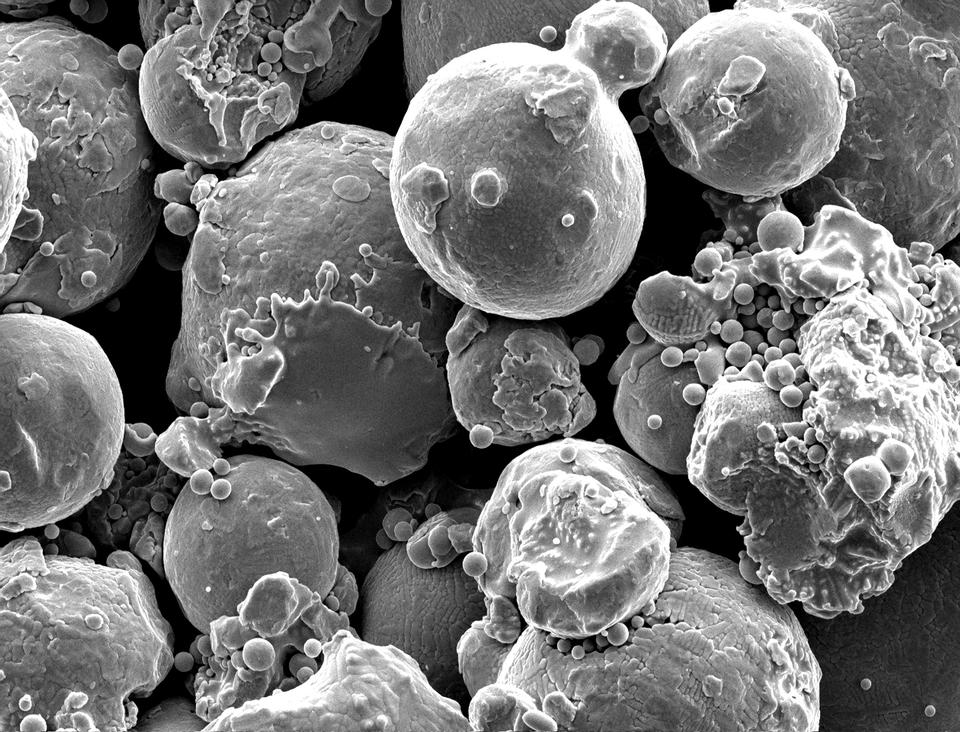 Scanning Electron Micrograph of Printing Steel (image magnified 1,000 times) 